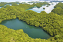 Palau - jezioro meduz