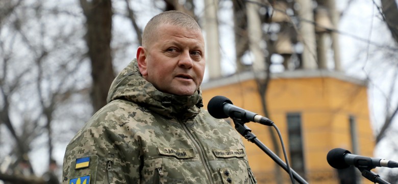 Bohater Ukraińców usunięty w cień, Kreml zaciera ręce. Kulisy odwołania Wałerija Załużnego. "Nie mogli już dłużej współistnieć"