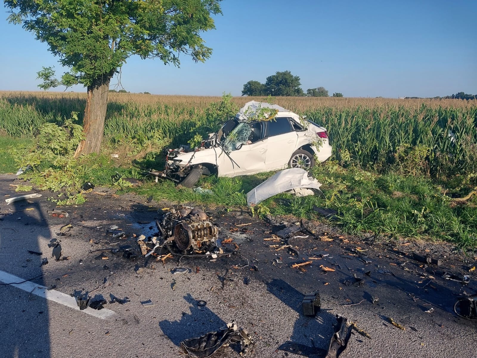 Devätnásťročný vodič osobného automobilu neprežil náraz do stromu.