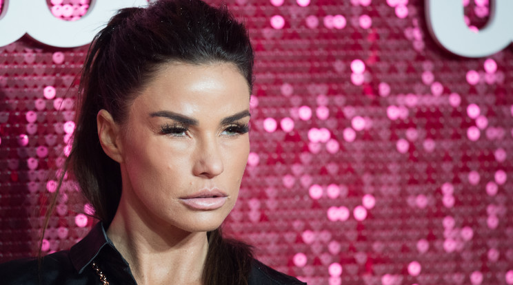 Katie Price / Fotó: Profimedia Reddot