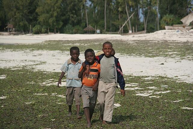 Galeria Tanzania - Zanzibar - Chcielibyście znaleźć raj?, obrazek 16