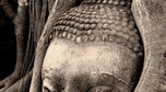Galeria Kambodża - Angkor - moc mieszka w kamieniach i drzewach, obrazek 4
