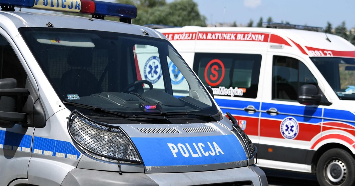 Zemsta psów, nad którymi znęcał się właściciel. Wyszły z kojca i zaczęło się piekło