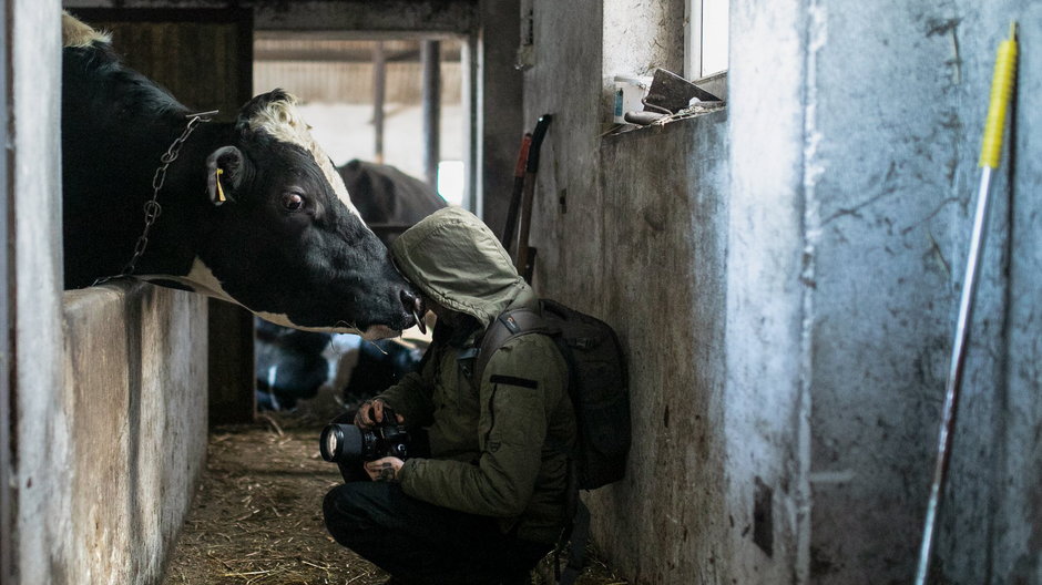 Andrew Skowron w swoich zdjęciach pokazuje prawdziwą cenę hodowli zwierząt, fot. Andrew Skowron