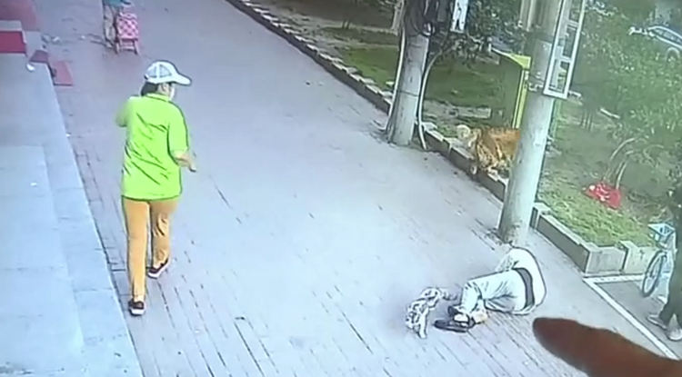 Bizarr videó: békésen sétáló nyugdíjas bácsi fejére zuhant a semmiből egy macska