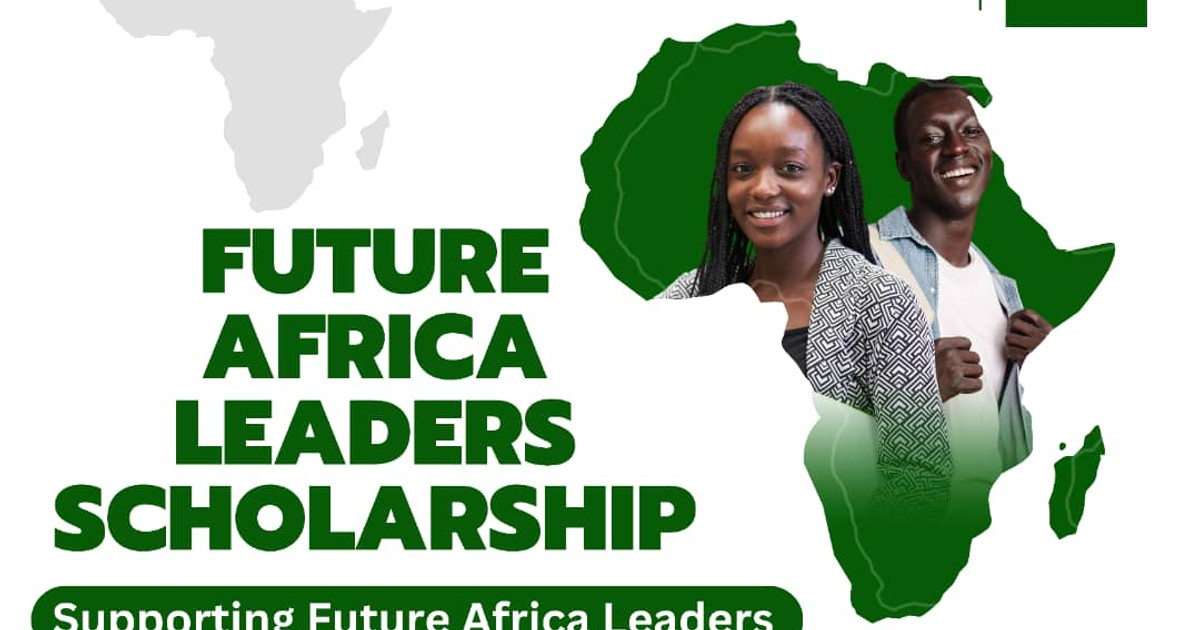 Dr Linda Iheme supports Future Africa Leaders with masterclass scholarship - Vimarsana News