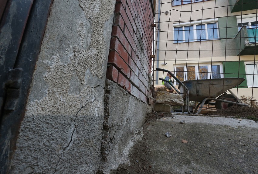 Male pukotine početak su velikih problema. Naučnici američkog univerziteta veruju da bi se same popravile uz pomoć specifične gljive
