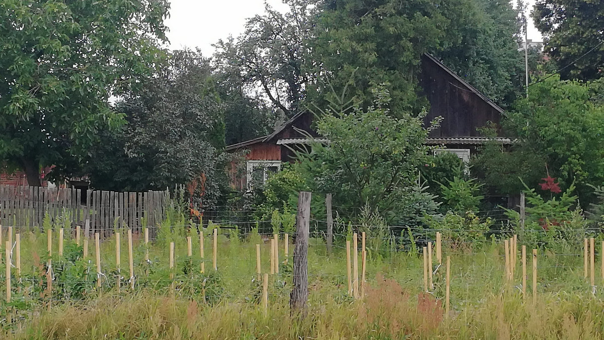 Śledczy badają sprawę makabrycznego odkrycia, do którego doszło w sobotę. W piecu jednego z domów znaleziono zwęglone zwłoki dziecka. Na jutro zaplanowano sekcję zwłok.