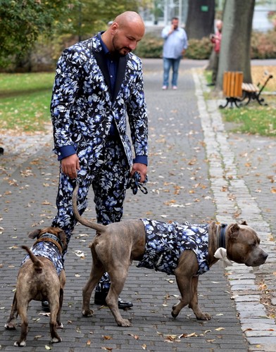 Artur Szpilka na spacerze ze swoimi psami
