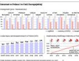 Szybki internet: do 2015 r. niemal cała Polska będzie miała dostęp do 30 Mb/s