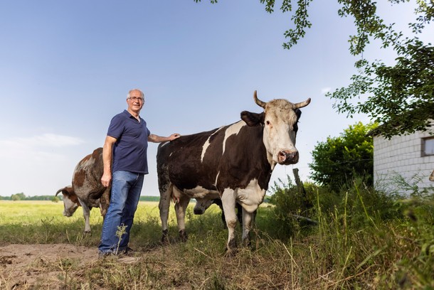 Jerzy Walczyna, hodowca bydła, Siedlanów koło Radzynia Podlaskiego, czerwiec 2021 r