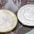 Ekonomiści apelują o wejście do strefy euro. Minister: rząd nad tym nie pracuje