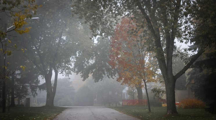 Újra támad a köd, jó lesz reggel figyelni az utakon / Illusztráció: Northfoto