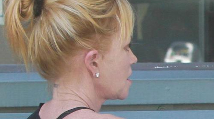 Melanie Griffith a tetkóját mutogatta