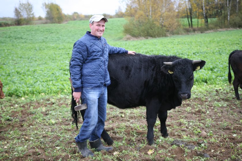 Zbigniew Klawikowski z krową