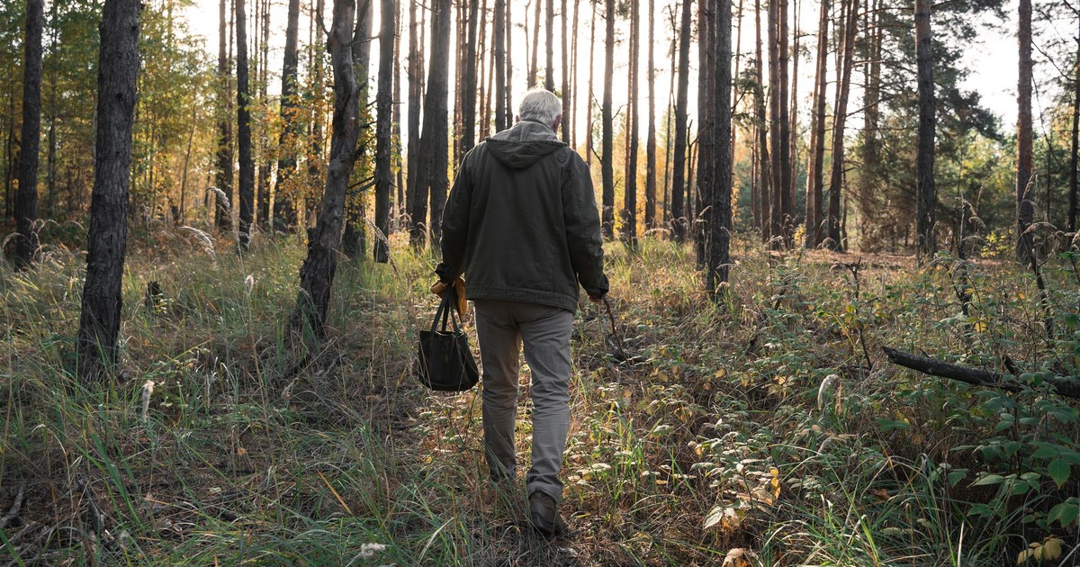 Niecodzienne spotkanie w lesie. To jedyny jadowity gatunek w Polsce