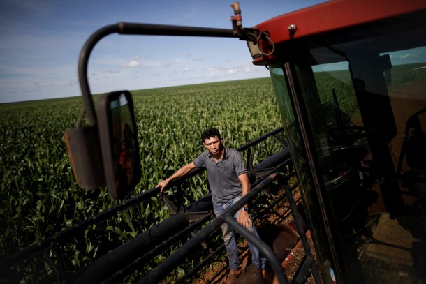 The Wider Image: Brazilian Indians fined for planting GMO soy crops