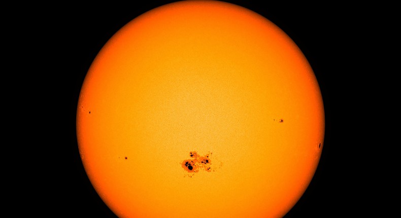 Sunspots and Stranded Whales: A Bizarre Correlation