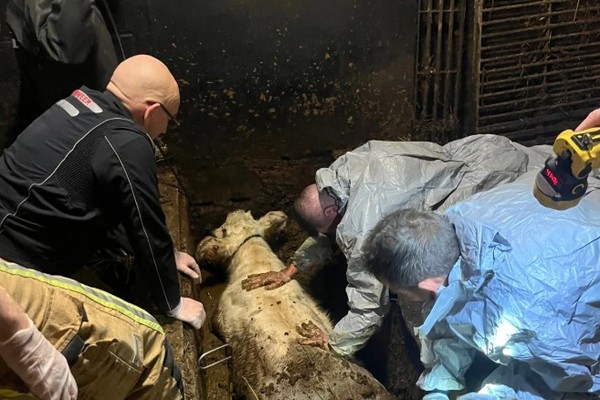 668140_dom-jevrema-grujica-foto-beoinfo