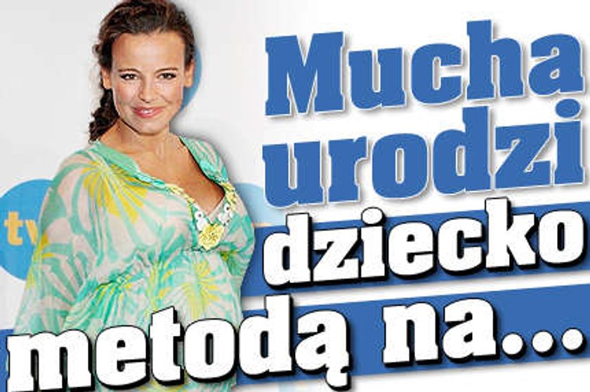 Mucha urodzi metodą na...