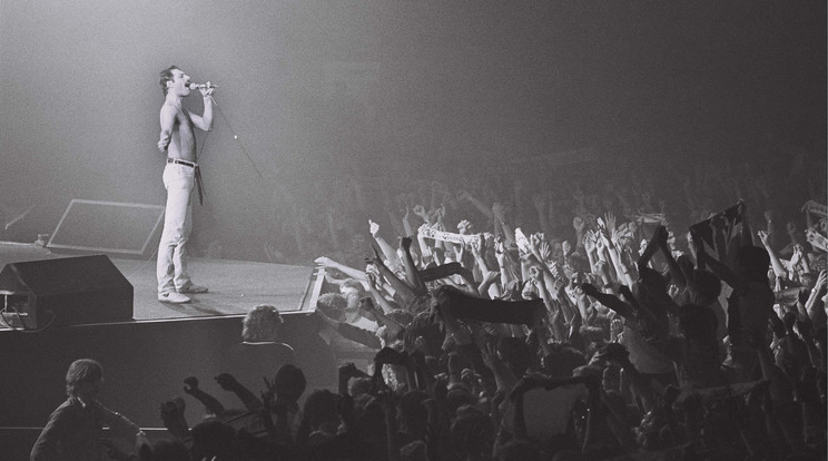 198  Freddie Mercury a Groenoordhallen, Leiden színpadán/Fotó:GettyImages