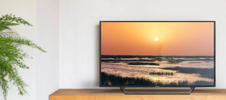 Modele z serii WD60 z ekranem Full HD zostały pozbawione Android TV, występują też tylko w stosunkowo niewielkich przekątnych