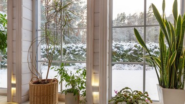 skutki mroźnej i śnieżnej zimy w ogrodzie. czego można się spodziewać wiosną 2026 r.?