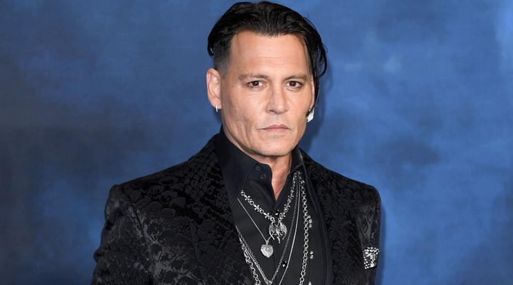 A zuhany alól rángattak ki egy betörőt Johnny Depp házában / Fotó: GettyImages