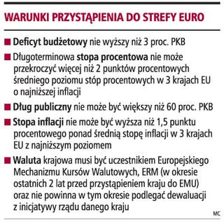 Po wejściu do srefy euro uprawnienia RPP i NBP trzeba będzie zmienić