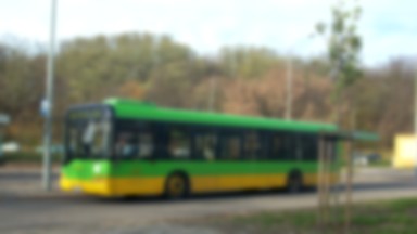 Komunikacja miejska w Poznaniu. Zmiany w funkcjonowaniu nocnych autobusów