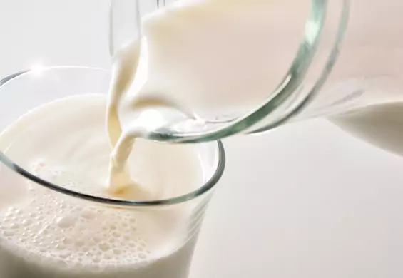Dlaczego mleko bez laktozy jest słodkie? Tego mogłeś nie wiedzieć