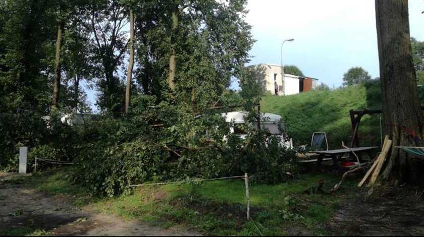 Zmarło dziecko przygniecione przed drzewo