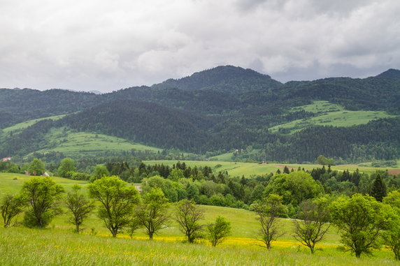 Szlak na Turbacz (woj. małopolskie)