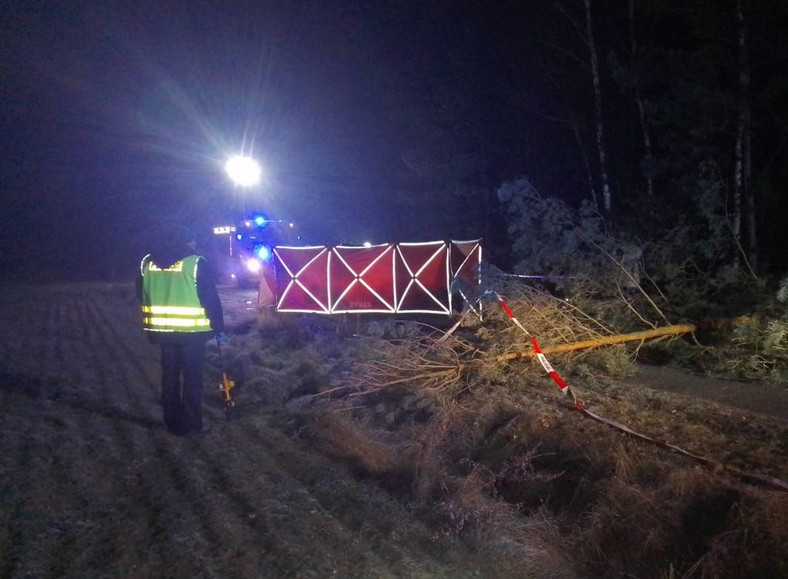 Zdjęcia policji z miejsca wypadku 