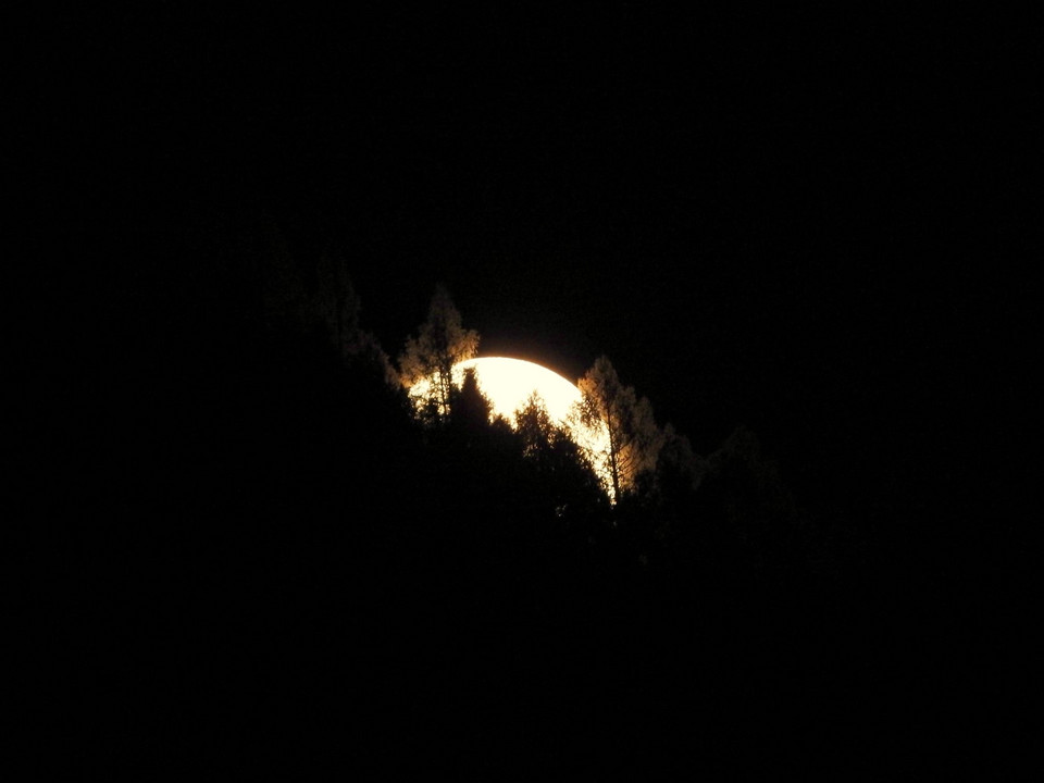 Niebieski Księżyc w Muszynie