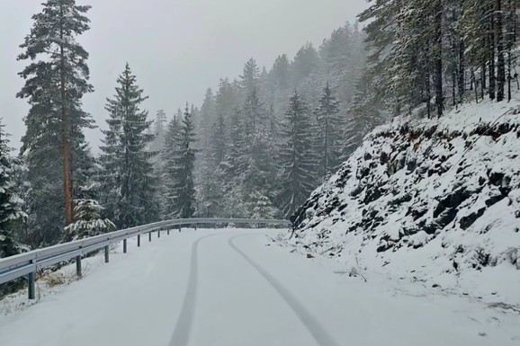 (VIDEO) OVAJ DEO SRBIJE POD SNEGOM Zabeleli se planinski vrhovi: Saobraćaj otežan, drvo preprečilo put na jednom putnom pravcu