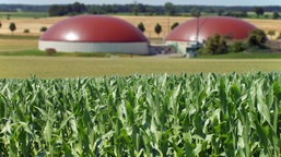 biogaz z polskim potencjałem. rząd przyspiesza rozwój zielonej energii