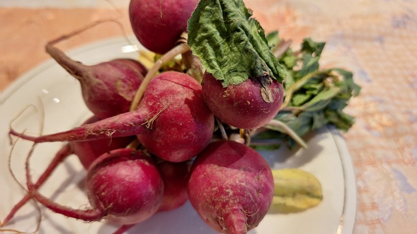 Najefikasnije je koristiti sok od rotkvica u kombinaciji sa drugim povrćem i voćem, poput šargarepe i jabuka