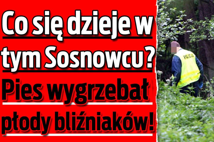 Pies wygrzebał 2 ludzkie płody! Co się dzieje w Sosnowcu?