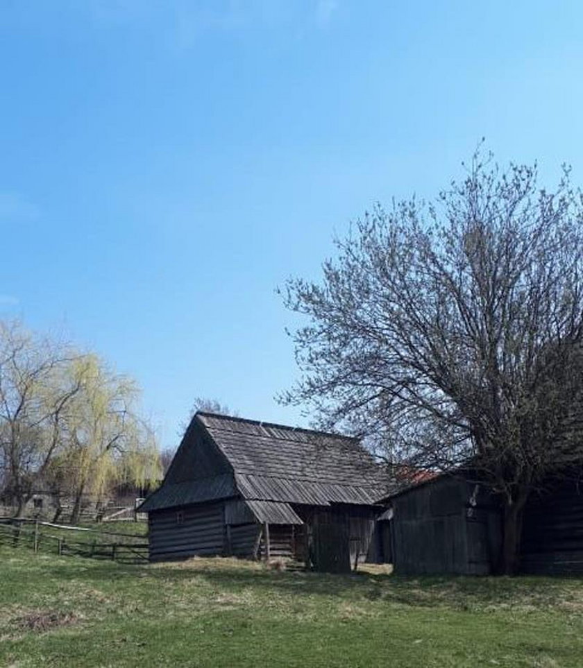 Makabryczne odkrycie na Podhalu. Znaleziono 30 pudeł z ludzkimi szczątkami