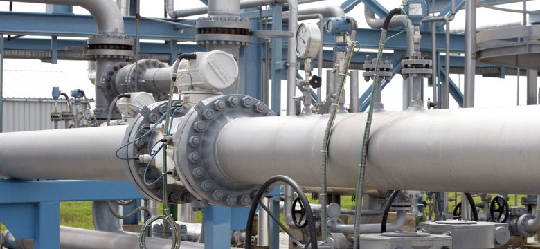 PiS wytyka Kopacz kłamstwo ws. Nord Stream. "Nasze działania doprowadziły do opóźnienia budowy"