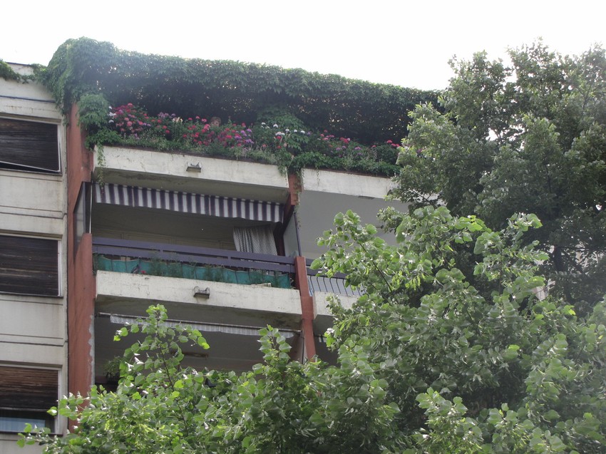 Prva nagrada za balkon u Omladinskih brigada 69