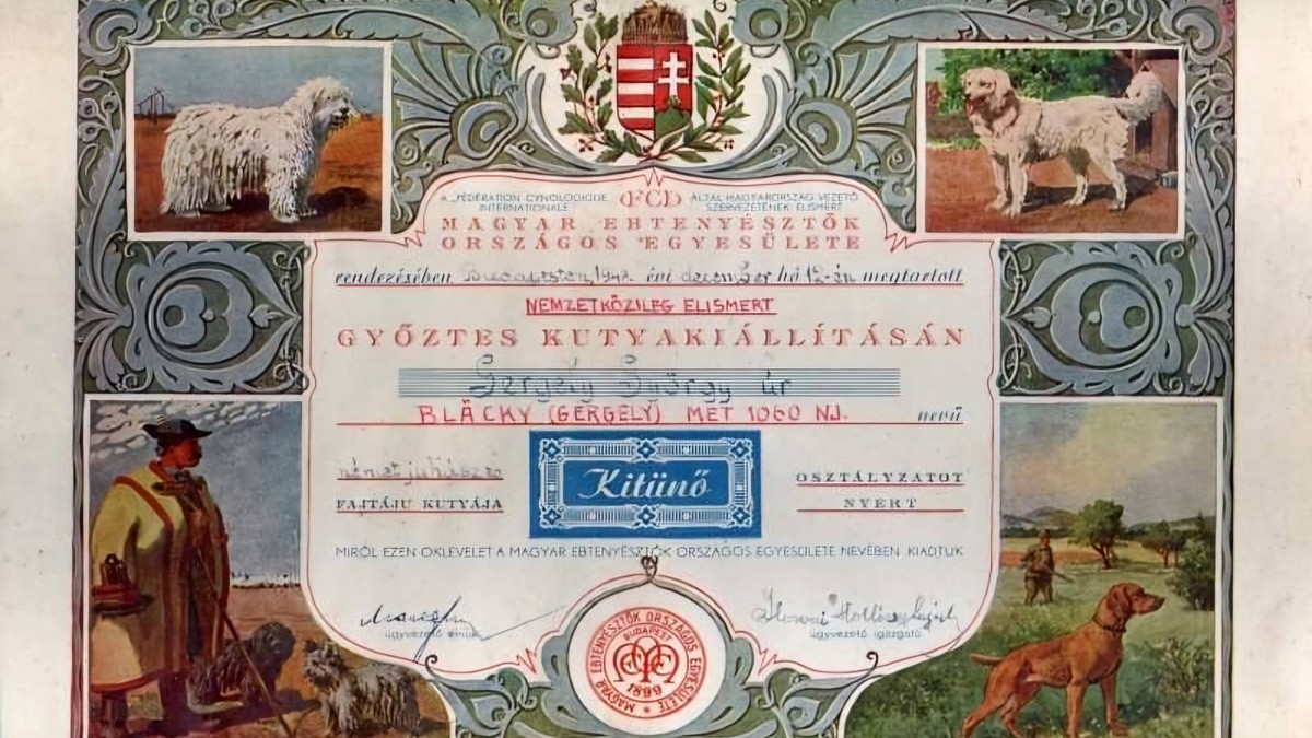 Kutyaimádók, figyelem! Lenyűgöző ebtörténeti kincsekkel gazdagodott a Magyar Nemzeti Múzeum gyűjteménye