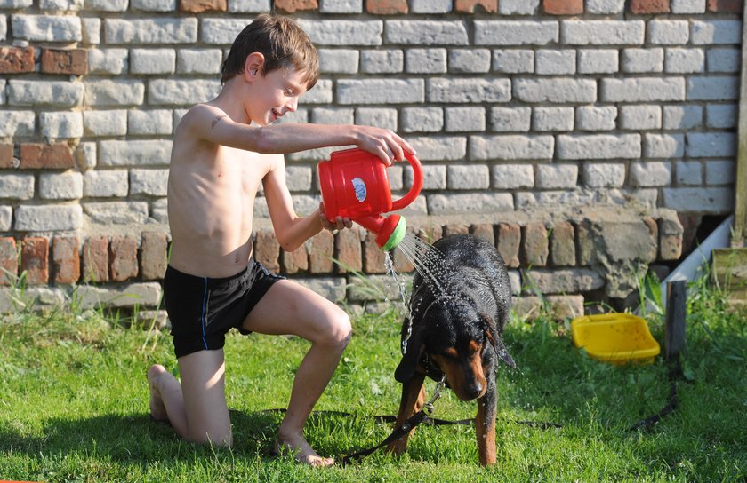 Upał w mieście