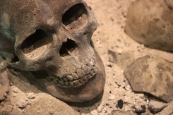 Makabryczne znalezisko w Chinach. Archeolodzy określili to mianem 'polowanie na głowy'