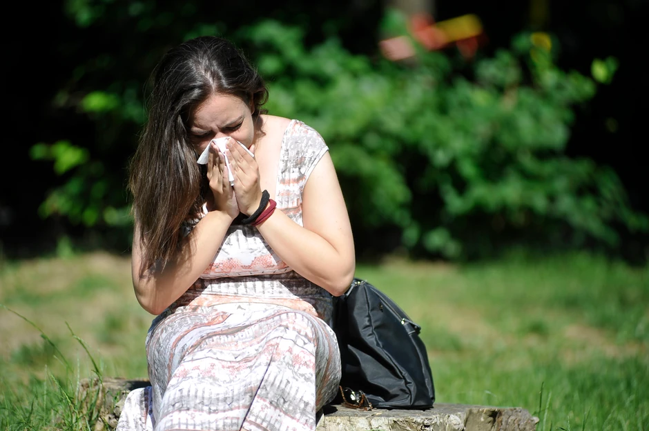 "Cvetanje biljaka izaziva alergijske reakcije poput zapušenog nosa, otežanog disanja i umora, što može dodatno doprineti osećaju iscrpljenosti"