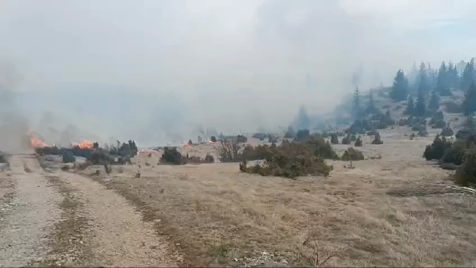 Paljenje niskog rastinja u velikom procentu dovodi do većih požara na otvorenom