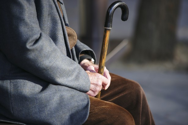 Najwięcej zatrudnienia w Hiszpanii generują dzienne świetlice dla osób starszych, gdzie zatrudnienie wzrosło o 58 tys. osób.