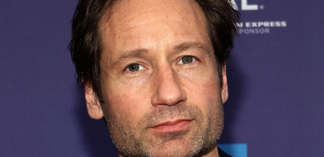 David Duchovny (fot. Getty Images)