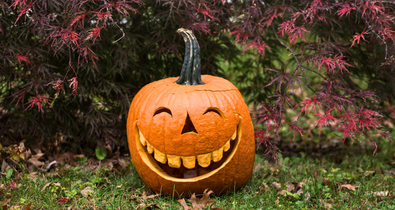 Az ősz gyarmatosítása: hogyan hódította meg a világot a pumpkin spice?